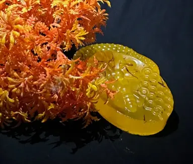 Saffron Whitening Soap – Brighten & Glow Naturally