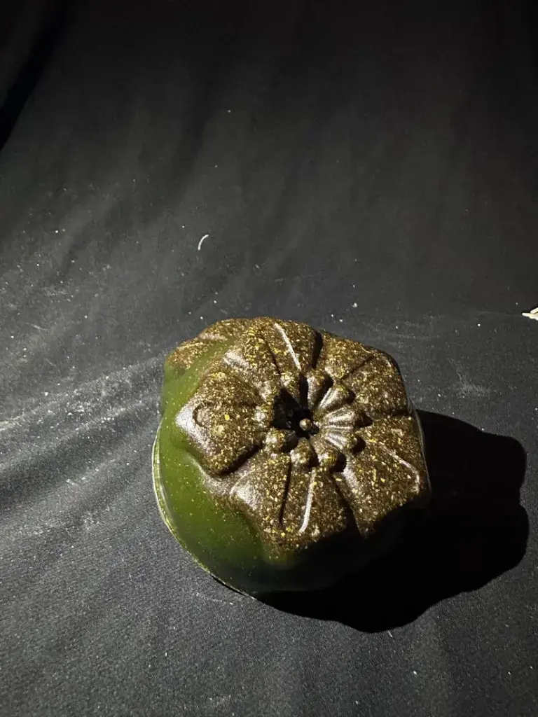 natural handmade neem soap.webp